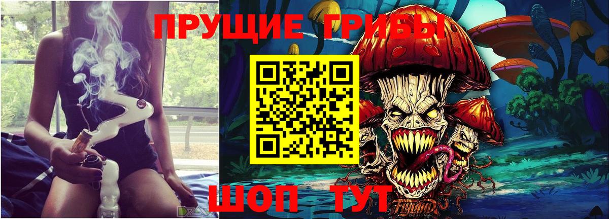 Корсаков  Псилоцибиновые грибы прущие грибы  Вход с VPN 